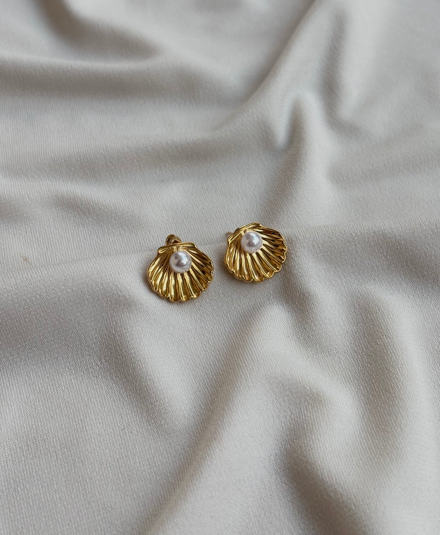 Sea Shell Earrings