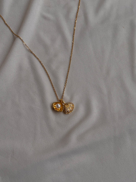 Shell Necklace