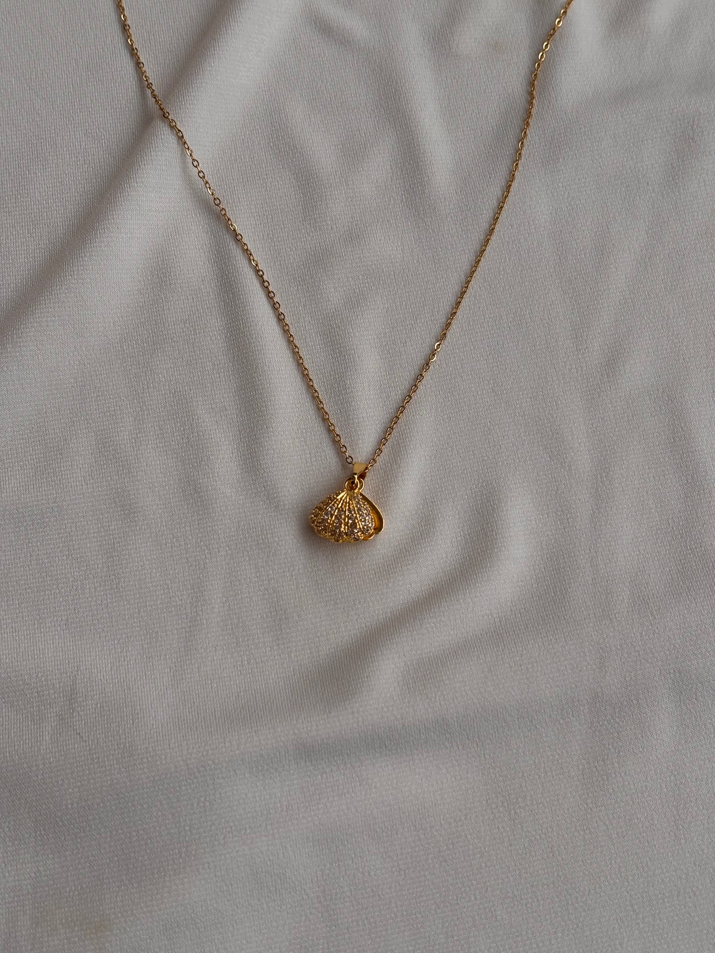 Shell Necklace