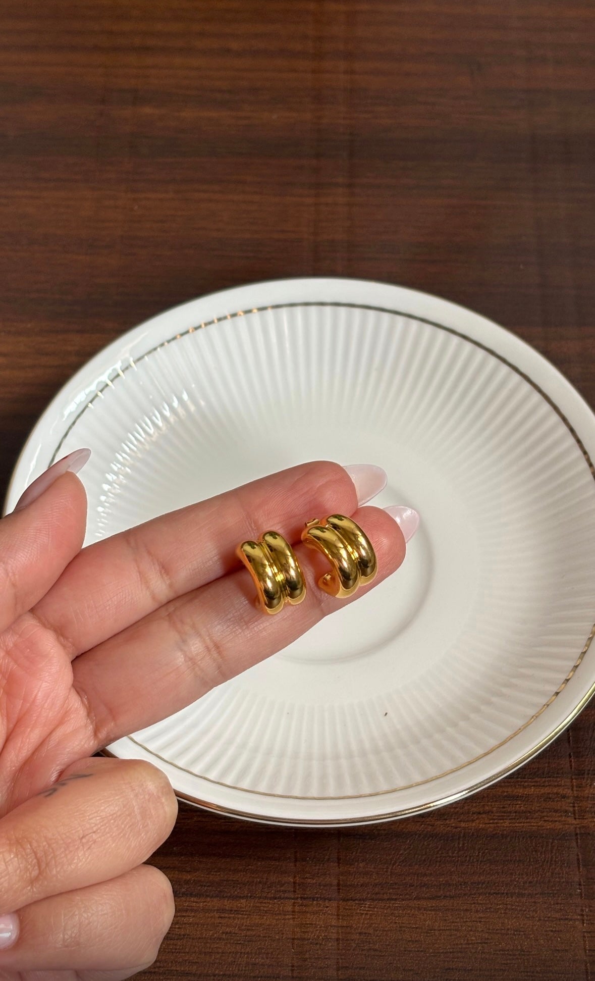 Everyday Hoops Earrings