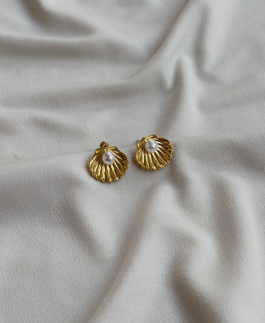 Sea Shell Earrings